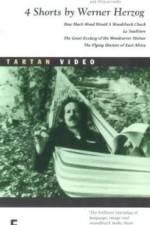 Watch How much Wood would a Woodchuck chuck - Beobachtungen zu einer neuen Sprache Putlocker