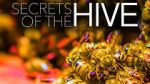 Watch Secrets of the Hive Putlocker