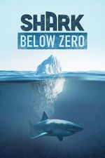 Watch Shark Below Zero Putlocker