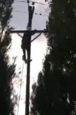 Watch After the Wind Putlocker