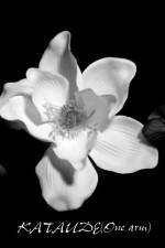 Watch Kataude Putlocker