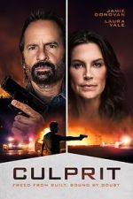 Watch Culprit Putlocker