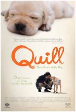 Watch Quill: The Life of a Guide Dog Putlocker