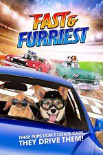 Watch Fast and Furriest Putlocker