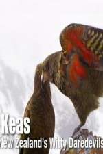 Watch Keas: New Zealand\'s Witty Daredevils Putlocker
