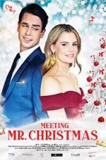 Watch Meeting Mr. Christmas Putlocker