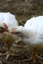 Watch Meet Your Meat Putlocker