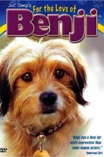 Watch For the Love of Benji Putlocker
