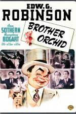 Watch Brother Orchid Putlocker