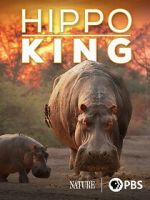 Watch Hippo King Putlocker
