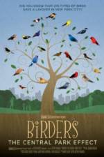 Watch Birders The Central Park Effect Putlocker