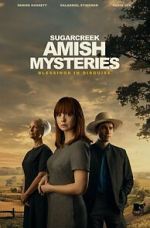 Watch Sugarcreek Amish Mysteries: Blessings in Disguise Putlocker