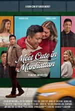 Watch Meet Cute in Manhattan Putlocker