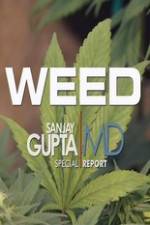 Watch CNN Weed Sanjay Gupta Report Putlocker