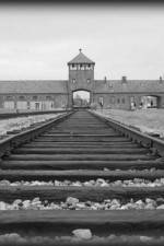 Watch AUSCHWITZ: ORDERS AND INITIATIVES Putlocker