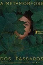 Watch The Metamorphosis of Birds Putlocker