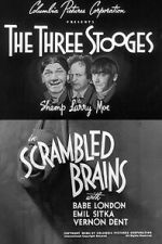 Watch Scrambled Brains Putlocker