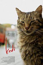 Watch Kedi Putlocker