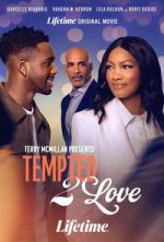 Watch Terry McMillan Presents: Tempted 2 Love Putlocker